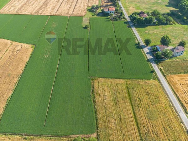 terreno agricolo in vendita a Fidenza in zona Castione Marchesi