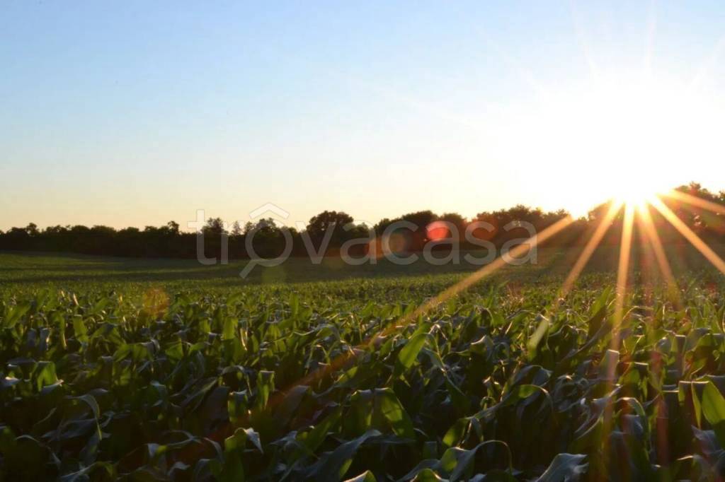terreno agricolo in vendita a Fontevivo in zona Torchio