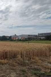 terreno agricolo in vendita a Fontevivo in zona Romitaggio