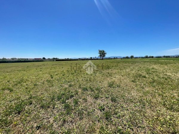 terreno agricolo in vendita a Fontevivo in zona Bianconese