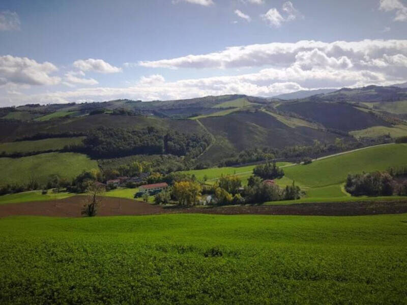 terreno agricolo in vendita a Fornovo di Taro