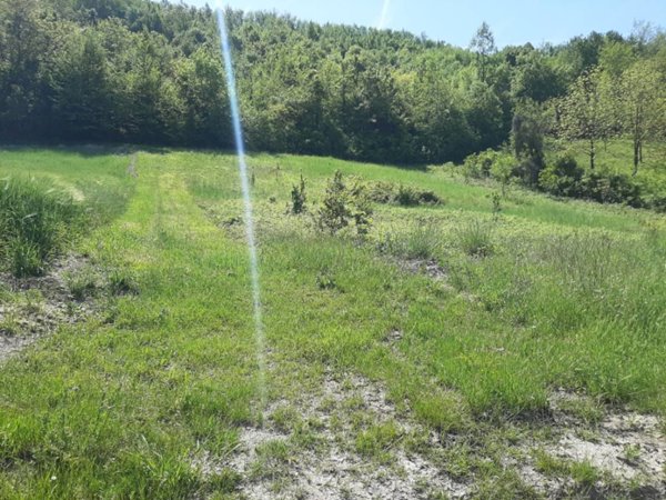 terreno edificabile in vendita a Fornovo di Taro