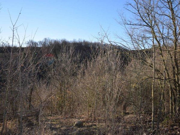 terreno agricolo in vendita a Fornovo di Taro in zona Cafragna