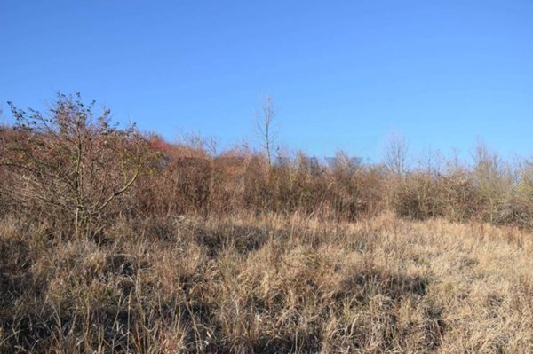 terreno agricolo in vendita a Fornovo di Taro in zona Cafragna