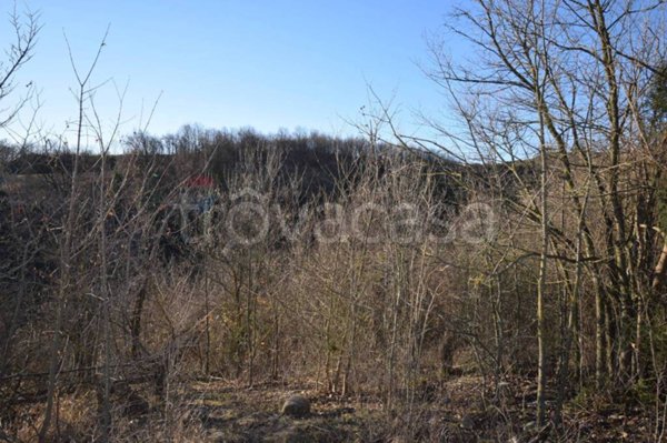 terreno agricolo in vendita a Fornovo di Taro in zona Cafragna
