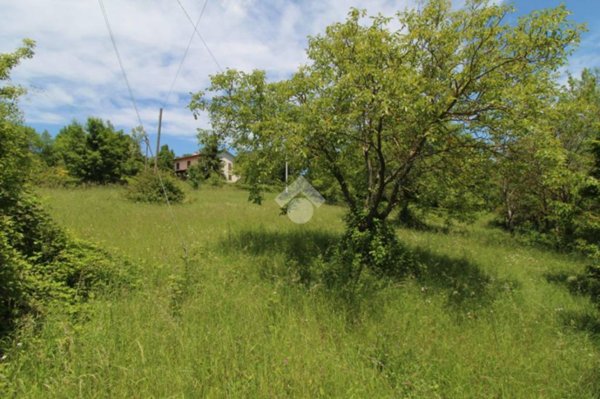 terreno agricolo in vendita a Langhirano