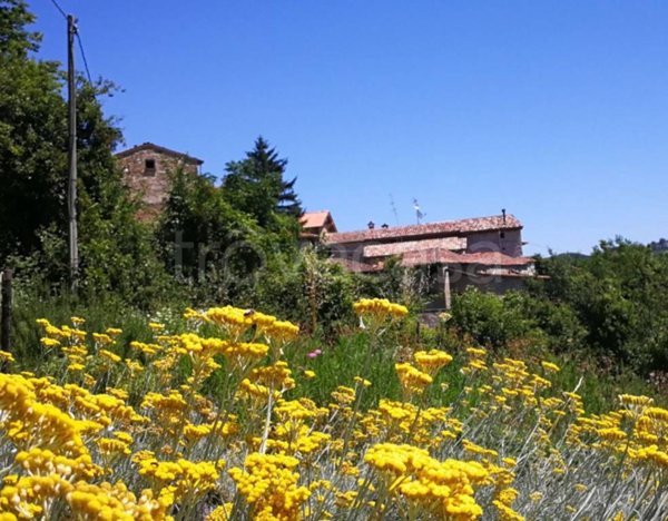 casa indipendente in vendita a Langhirano in zona Cattabiano