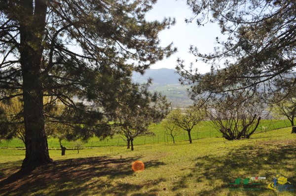 casa indipendente in vendita a Langhirano