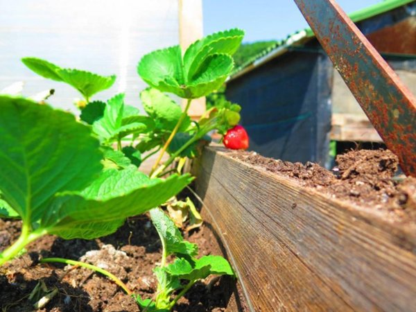 terreno agricolo in vendita a Langhirano in zona Pilastro