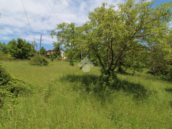 terreno agricolo in vendita a Langhirano in zona Tabbiano