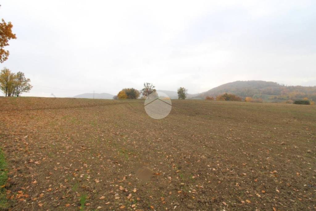 terreno agricolo in vendita a Langhirano in zona Tordenaso