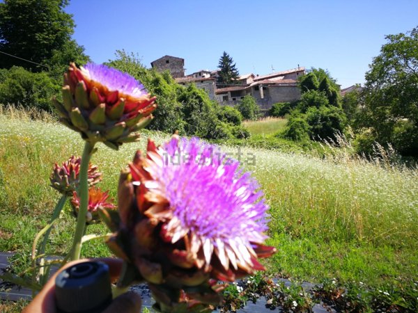 casale in vendita a Langhirano in zona Cattabiano
