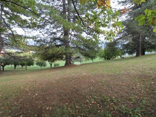 terreno agricolo in vendita a Langhirano