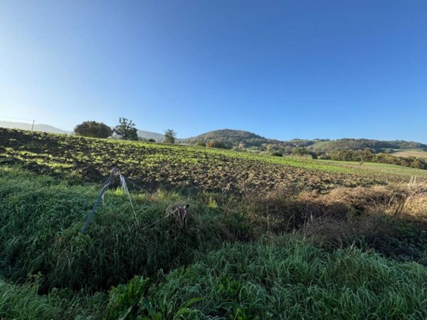 casa indipendente in vendita a Langhirano in zona Tordenaso