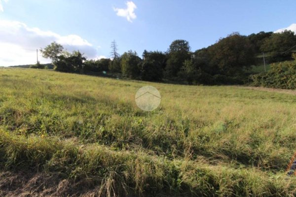 terreno agricolo in vendita a Langhirano in zona Cattabiano