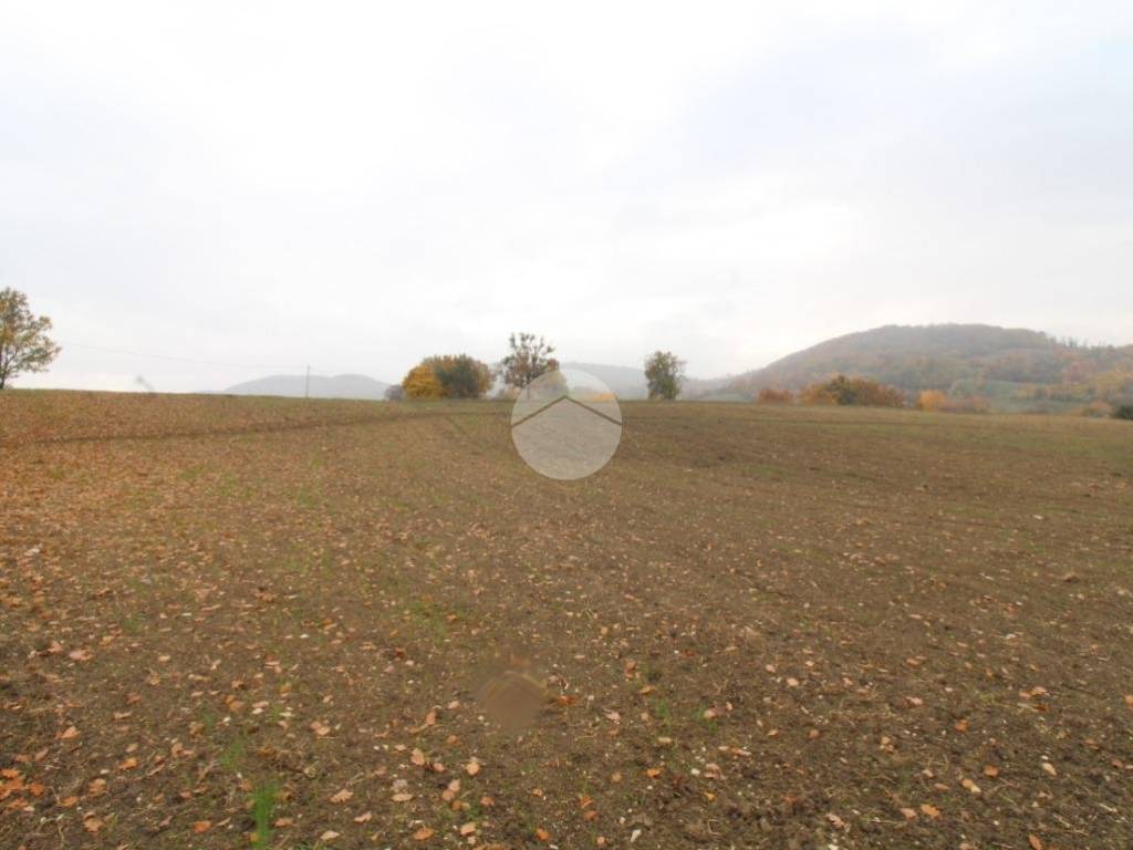 terreno agricolo in vendita a Langhirano in zona Tordenaso