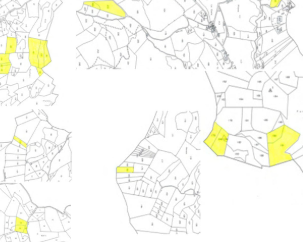 terreno agricolo in vendita a Langhirano in zona Riano