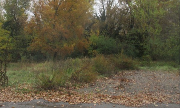 capannone in vendita a Langhirano in zona Pastorello