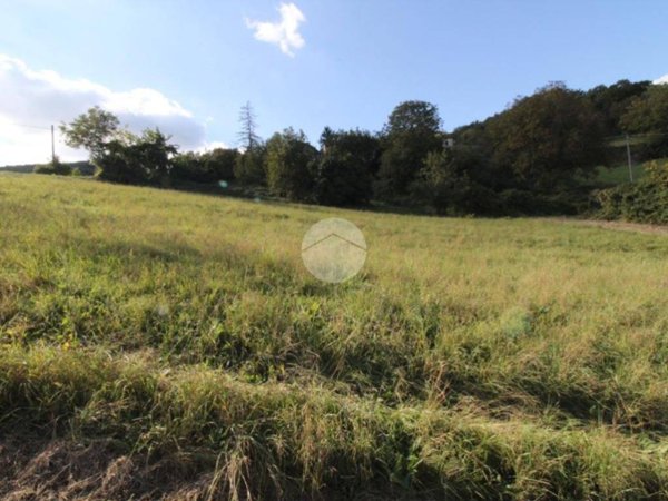 terreno edificabile in vendita a Langhirano in zona Cattabiano