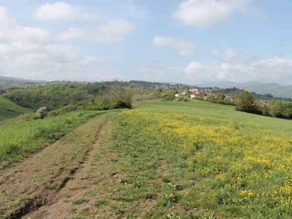 terreno edificabile in vendita a Lesignano de' Bagni