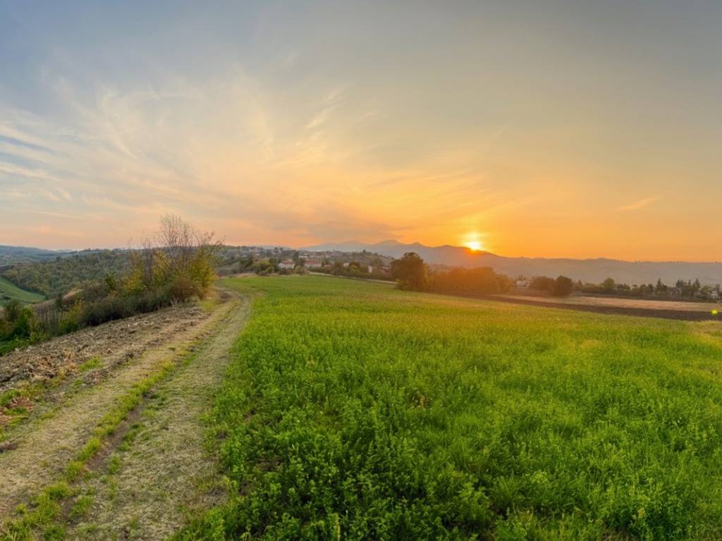terreno agricolo in vendita a Lesignano de' Bagni in zona Masdone