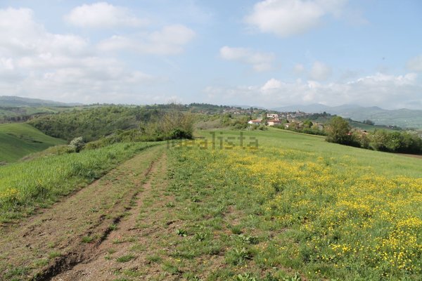 casa indipendente in vendita a Lesignano de' Bagni in zona Bassa