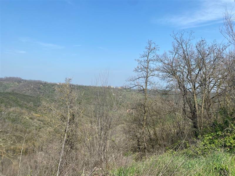 appartamento in vendita a Medesano in zona Miano