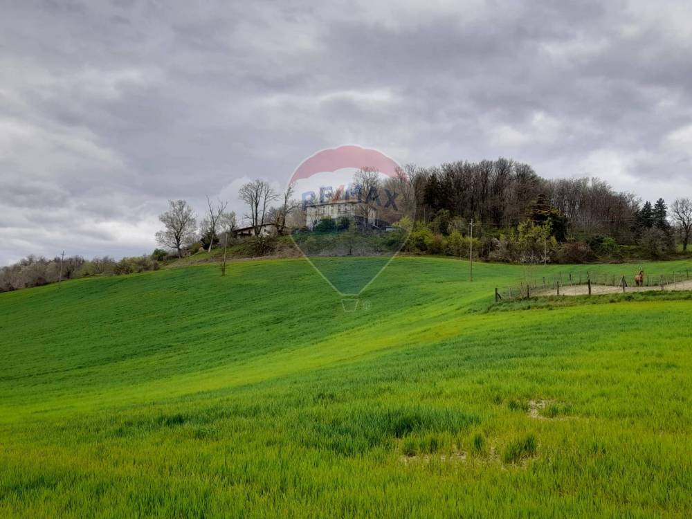 terreno agricolo in vendita a Medesano