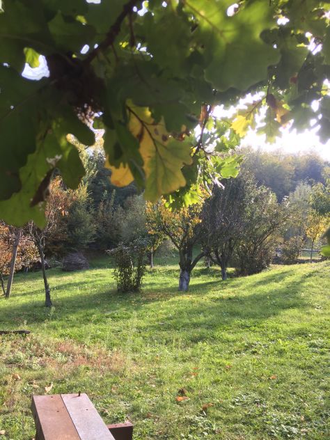 terreno agricolo in vendita a Medesano in zona Miano