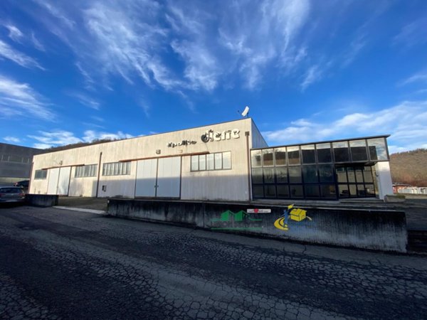 negozio in vendita a Medesano in zona Felegara