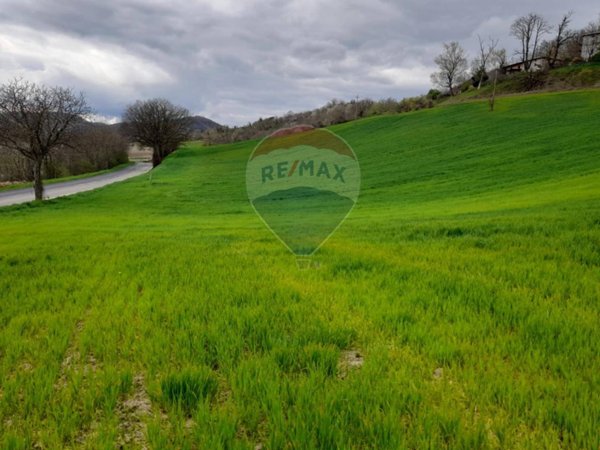 terreno agricolo in vendita a Medesano