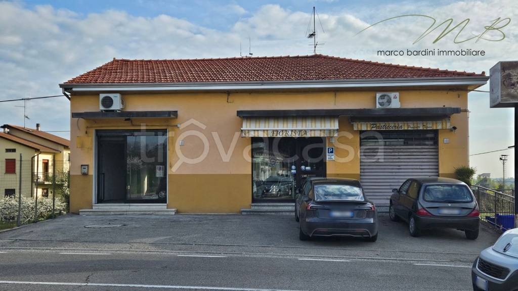 negozio in vendita a Medesano in zona Ramiola