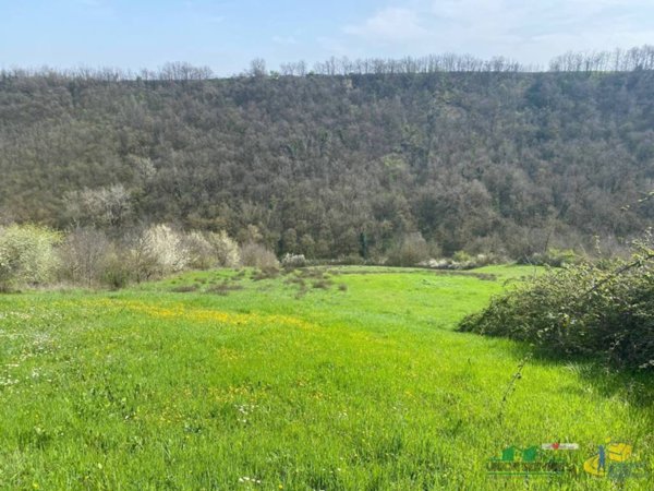 appartamento in vendita a Medesano in zona Miano
