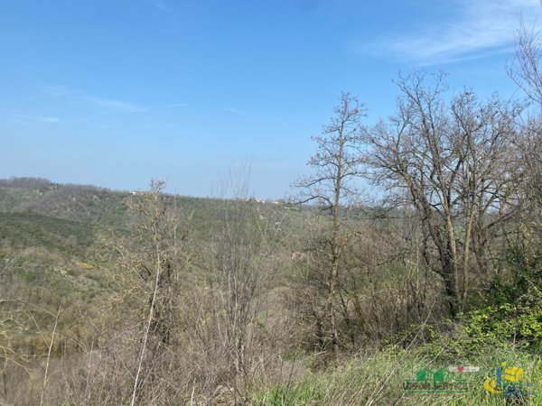 appartamento in vendita a Medesano in zona Miano