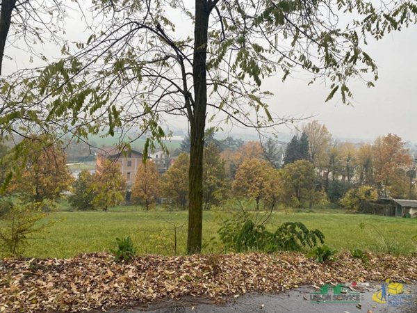 terreno agricolo in vendita a Medesano