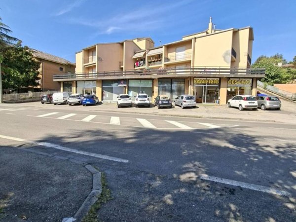 appartamento in vendita a Medesano in zona Ramiola