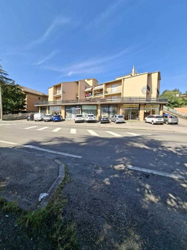 appartamento in vendita a Medesano in zona Ramiola