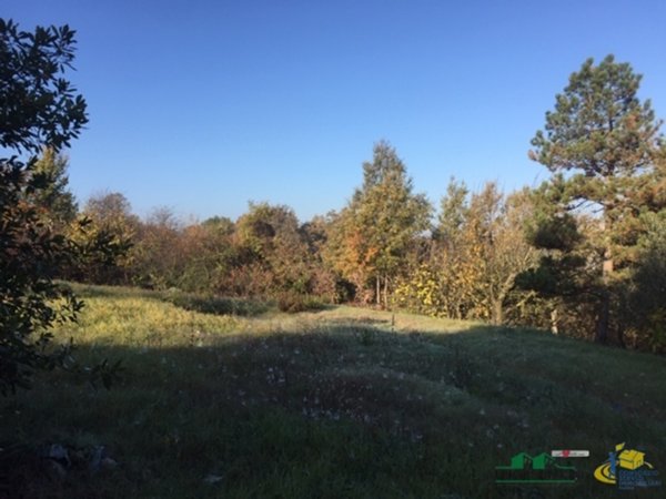 terreno edificabile in vendita a Medesano in zona Miano