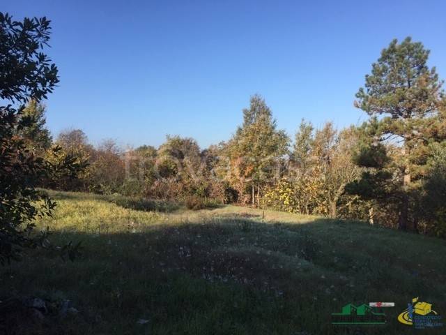 terreno edificabile in vendita a Medesano in zona Miano