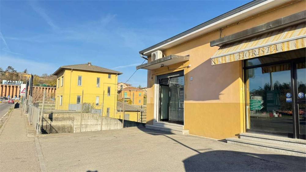 negozio in vendita a Medesano in zona Ramiola