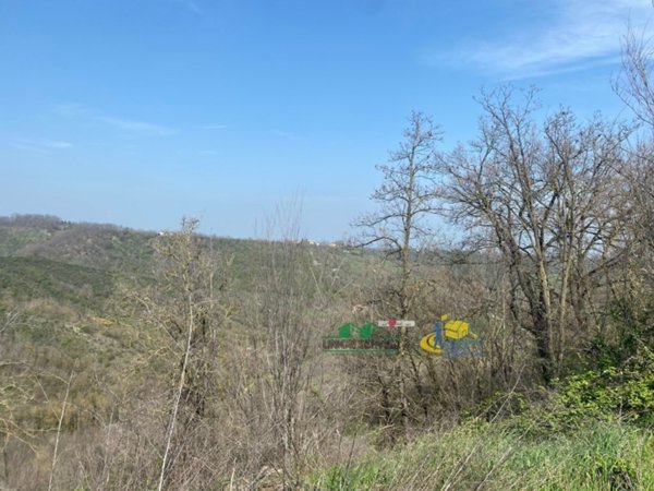 appartamento in vendita a Medesano in zona Miano