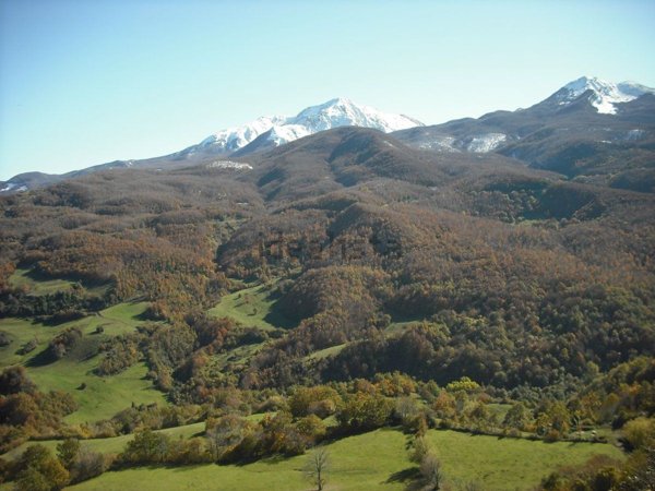casa semindipendente in vendita a Monchio delle Corti