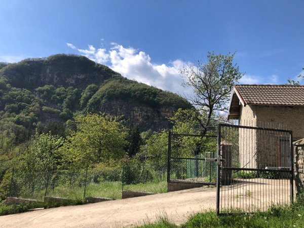 esavano in vendita a Monchio delle Corti in zona Casarola