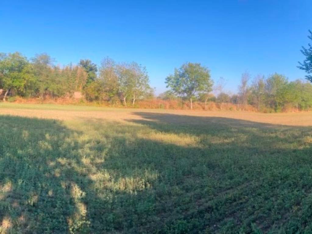 terreno agricolo in vendita a Montechiarugolo in zona Basilicanova