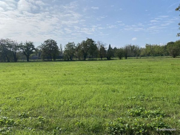 casa indipendente in vendita a Montechiarugolo in zona Basilicanova
