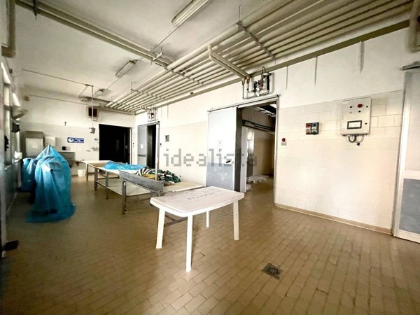 capannone in vendita a Montechiarugolo