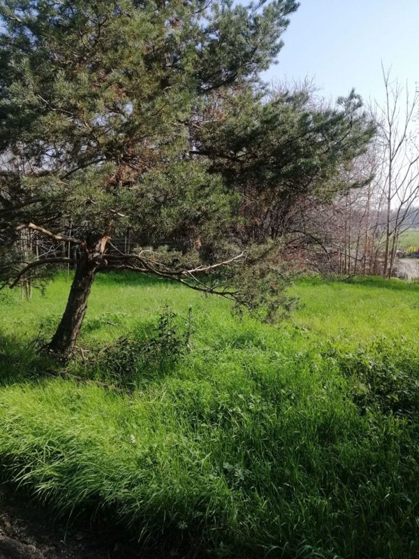 appartamento in vendita a Montechiarugolo in zona Tortiano