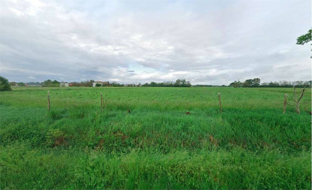 terreno agricolo in vendita a Montechiarugolo in zona Piazza