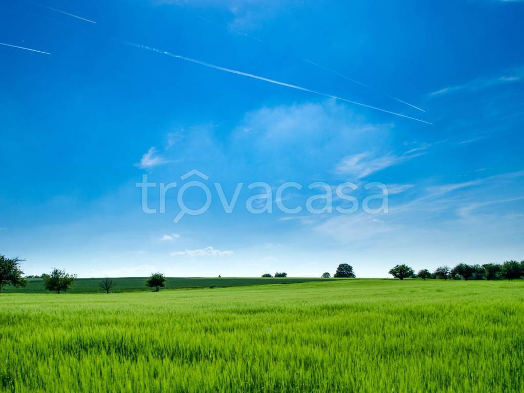 terreno agricolo in vendita a Montechiarugolo