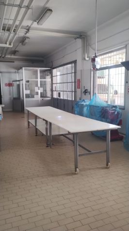 locale commerciale in vendita a Montechiarugolo